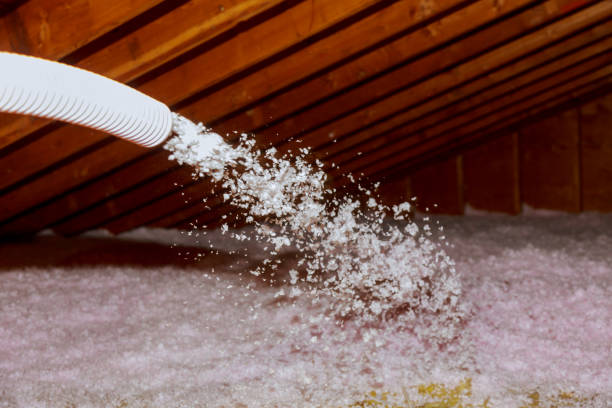 Best Types of Insulation in Alta Sierra, CA
